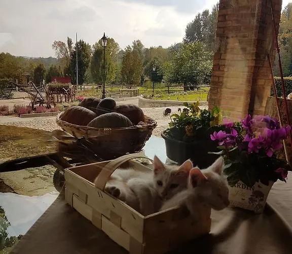 La Cavallina Azienda Agrituristica Lantgård Monguzzo