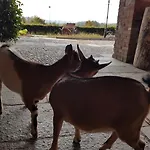 La Cavallina Azienda Agrituristica Bauernhof *