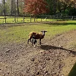 Bauernhof La Cavallina Azienda Agrituristica *