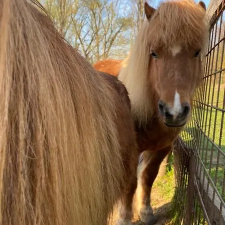 La Cavallina Azienda Agrituristica Feriegård *