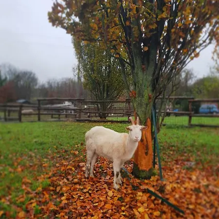 La Cavallina Azienda Agrituristica Feriegård *