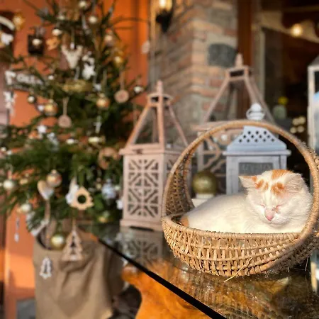 La Cavallina Azienda Agrituristica *