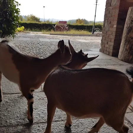 La Cavallina Azienda Agrituristica ファームステイ *