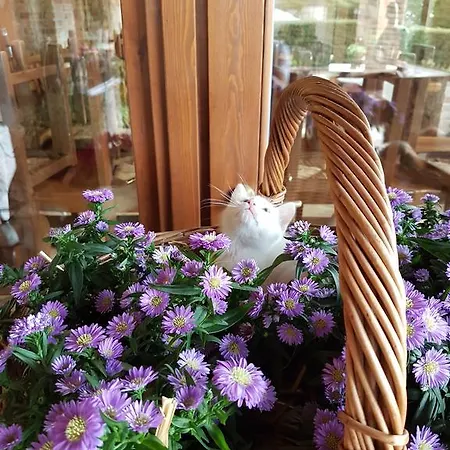 La Cavallina Azienda Agrituristica * 몬구쪼