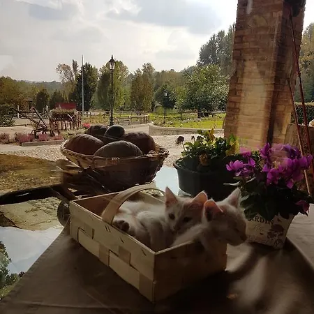 La Cavallina Azienda Agrituristica 팜스테이 몬구쪼