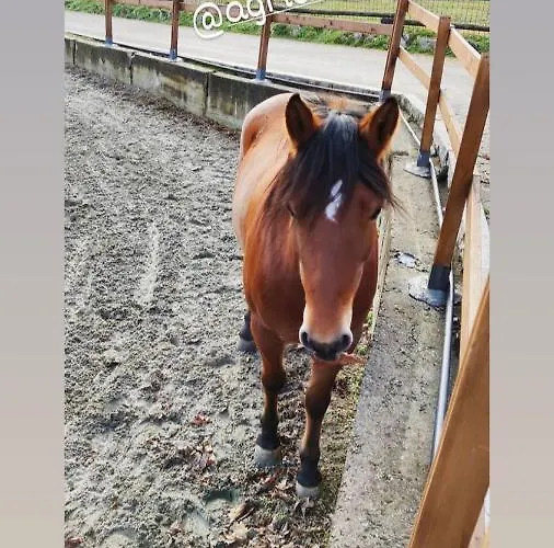 La Cavallina Azienda Agrituristica *