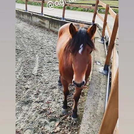 La Cavallina Azienda Agrituristica *