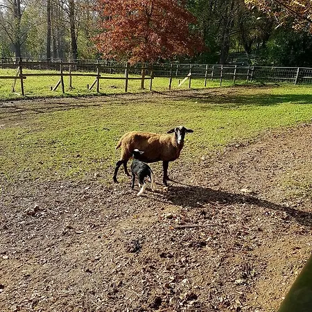 Gospodarstwo agroturystyczne La Cavallina Azienda Agrituristica *